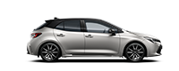 Corolla luukpära